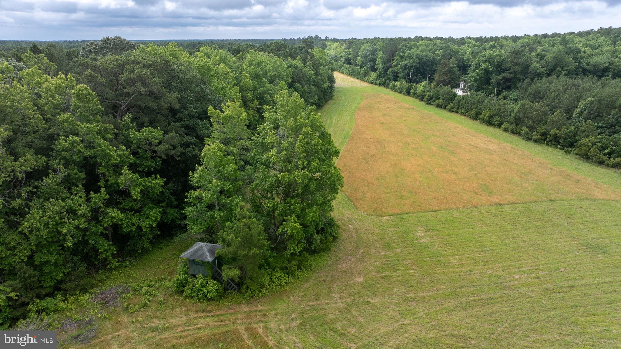 25367 Messongo Road Temperanceville, VA 23442 - Photo 104 of 107