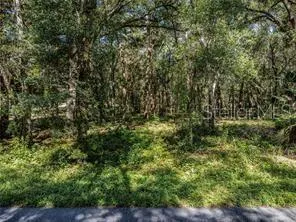 $350,000 | Huff Road, Eustis, FL 32736