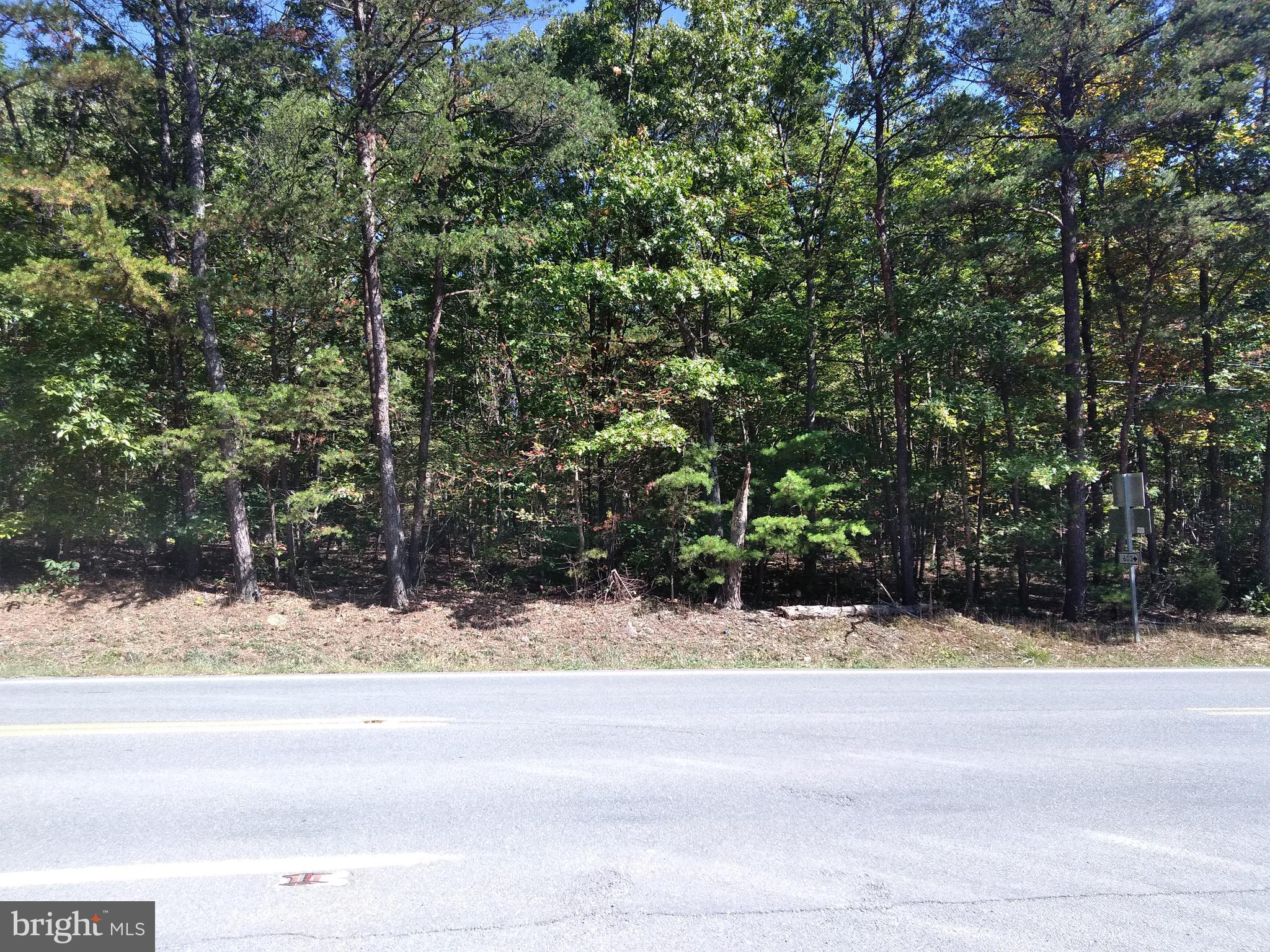 Bushy Ridge Star Tannery, VA 22654 - Photo 11 of 12 Gallery Image 11