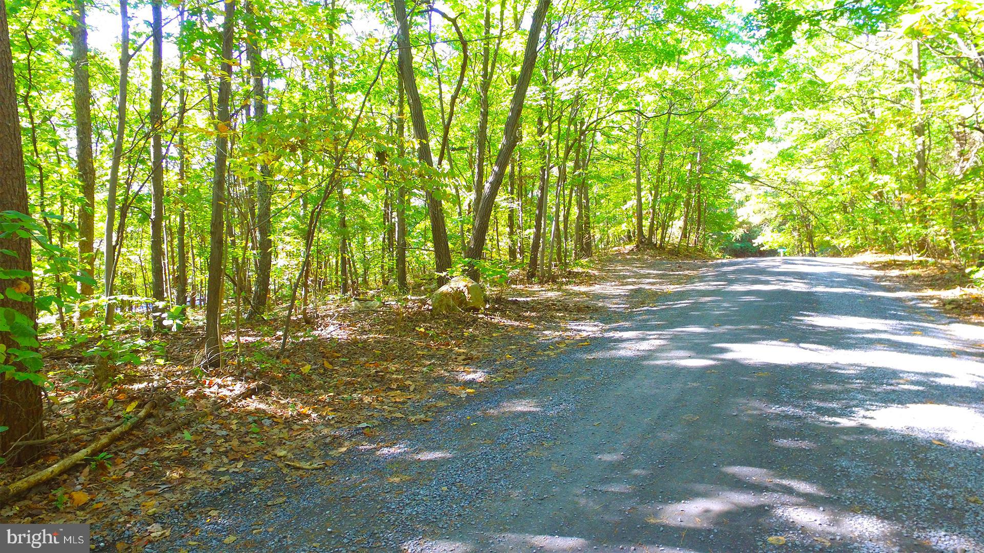 Bushy Ridge Star Tannery, VA 22654 - Photo 4 of 12 Gallery Image 4
