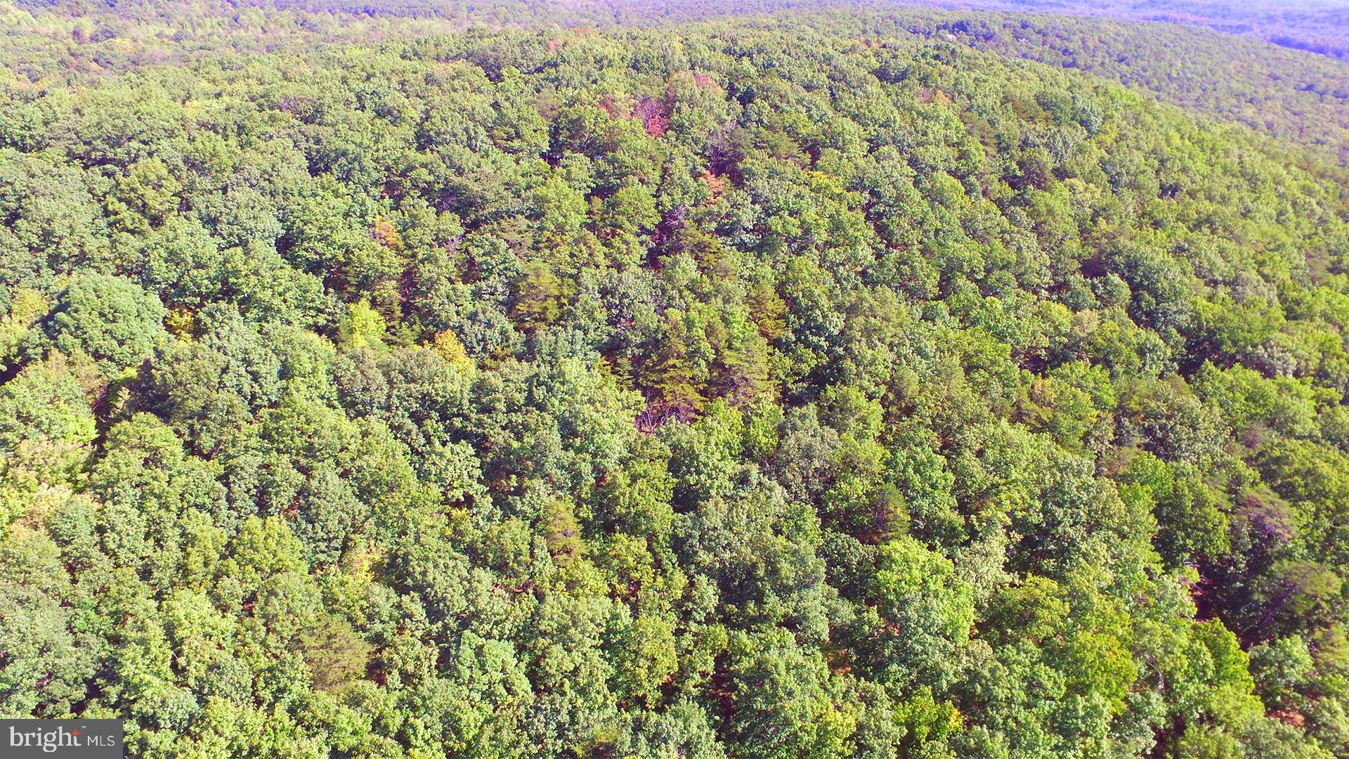 Bushy Ridge Star Tannery, VA 22654 - Photo 6 of 12 Gallery Image 6