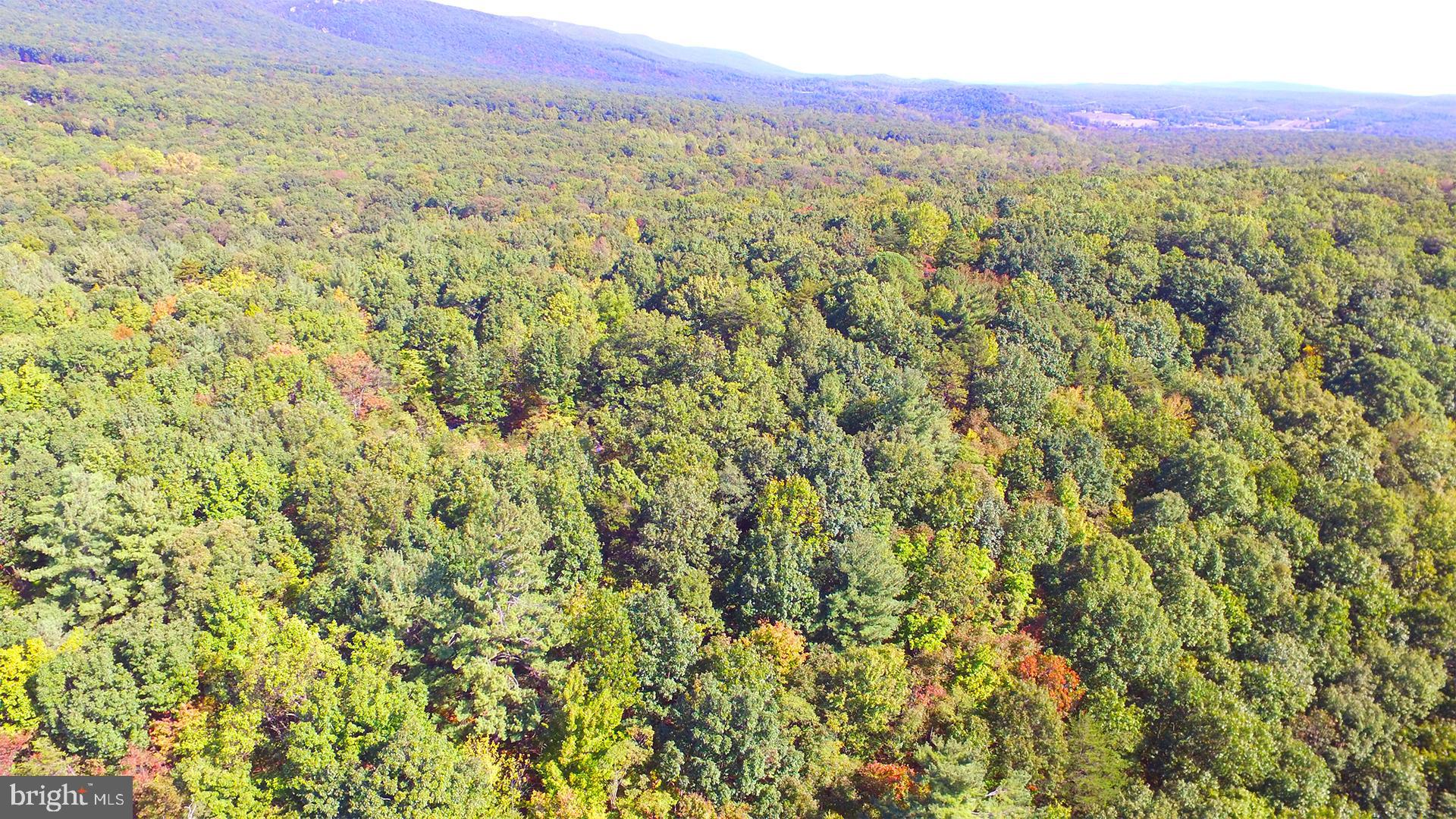 Bushy Ridge Star Tannery, VA 22654 - Photo 7 of 12 Gallery Image 7