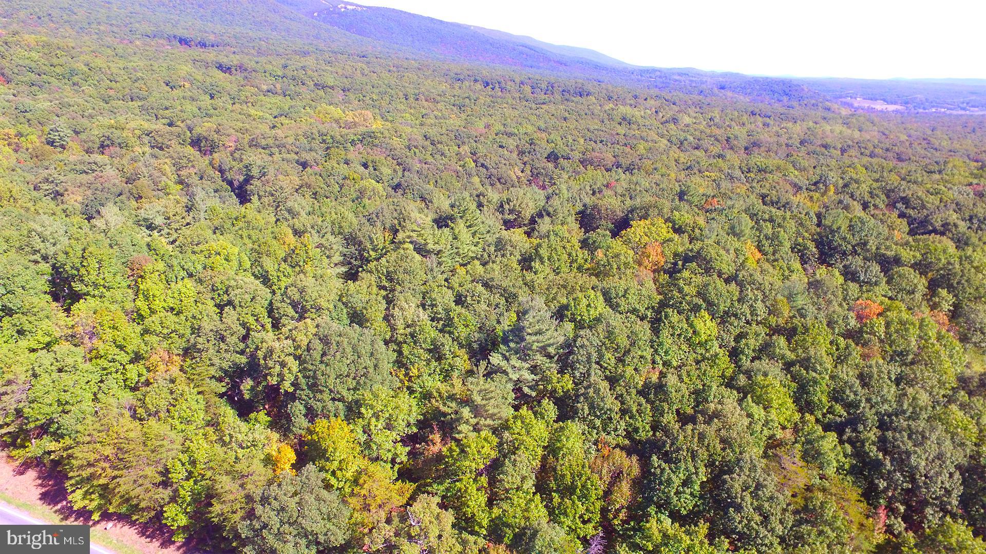 Bushy Ridge Star Tannery, VA 22654 - Photo 8 of 12 Gallery Image 8