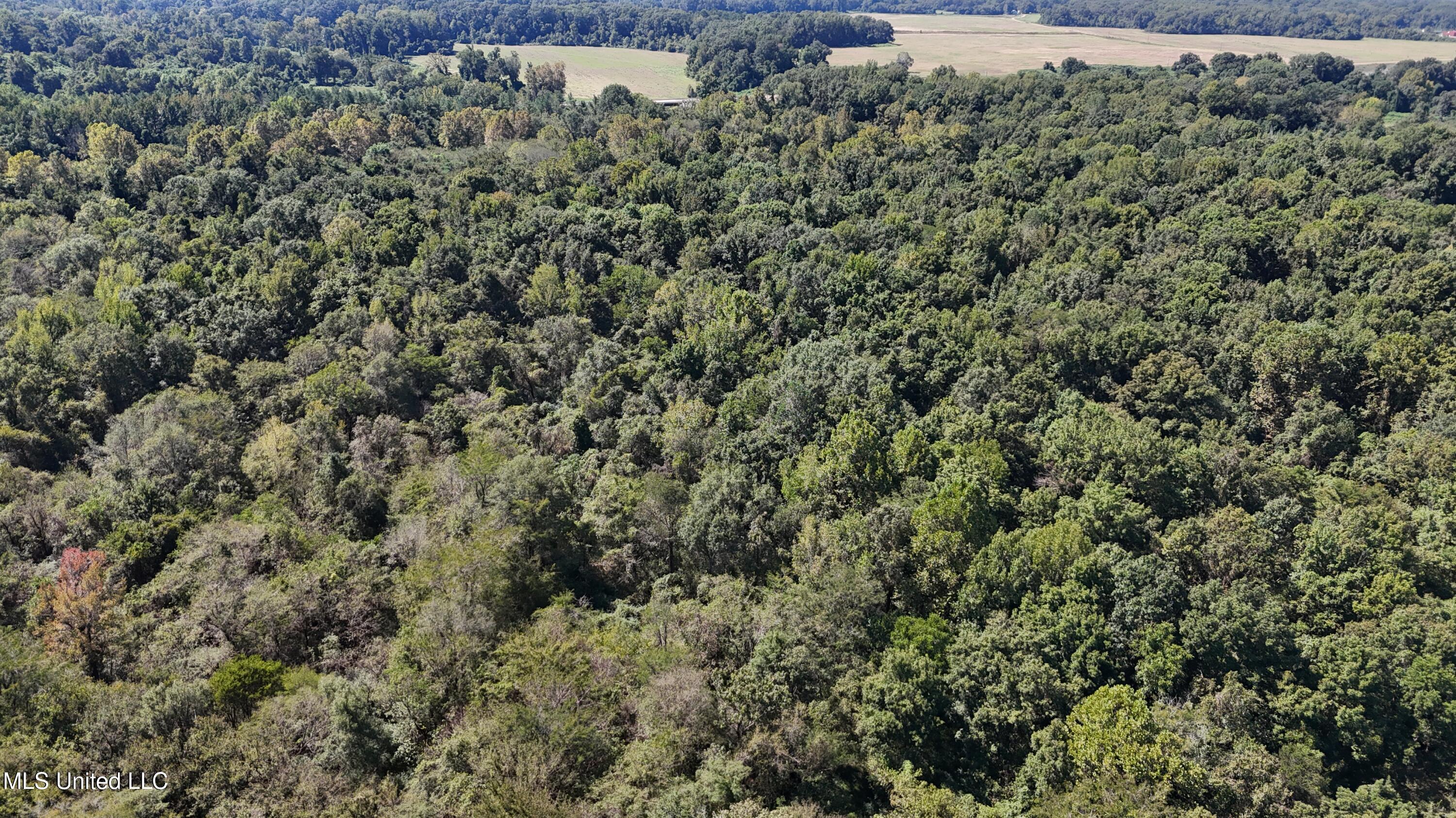 12 Ms Highway Lexington, MS 39095 - Photo 13 of 56 DJI_20240921113306_0615_D