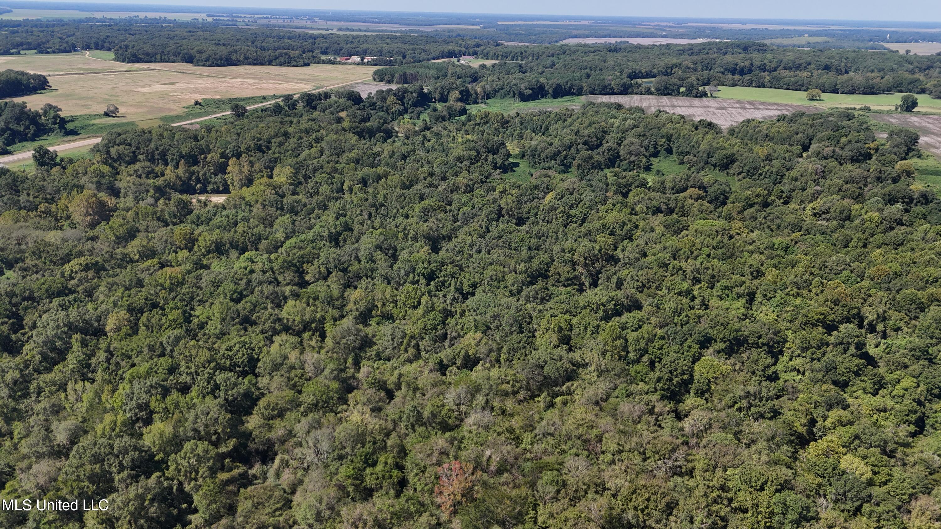 12 Ms Highway Lexington, MS 39095 - Photo 17 of 56 DJI_20240921113354_0619_D