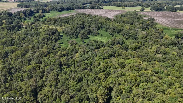 $108,000 | 12 Ms Highway, Lexington, MS 39095