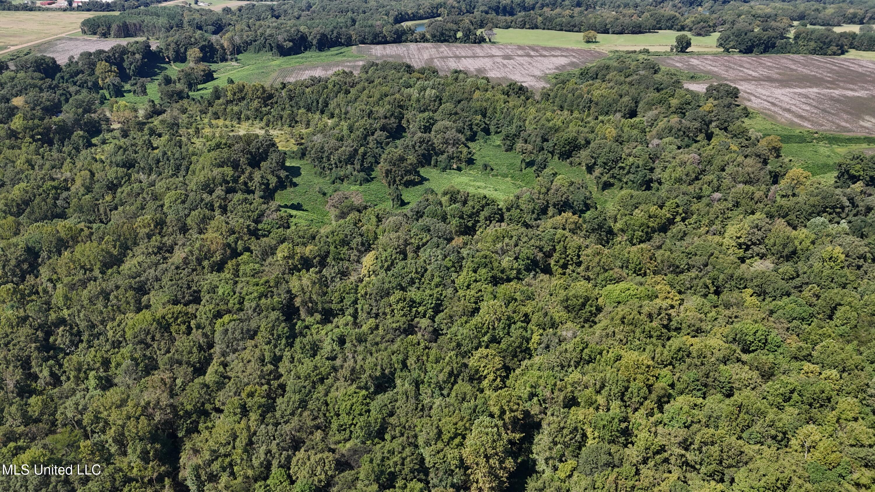 12 Ms Highway Lexington, MS 39095 - Photo 18 of 56 DJI_20240921113410_0620_D