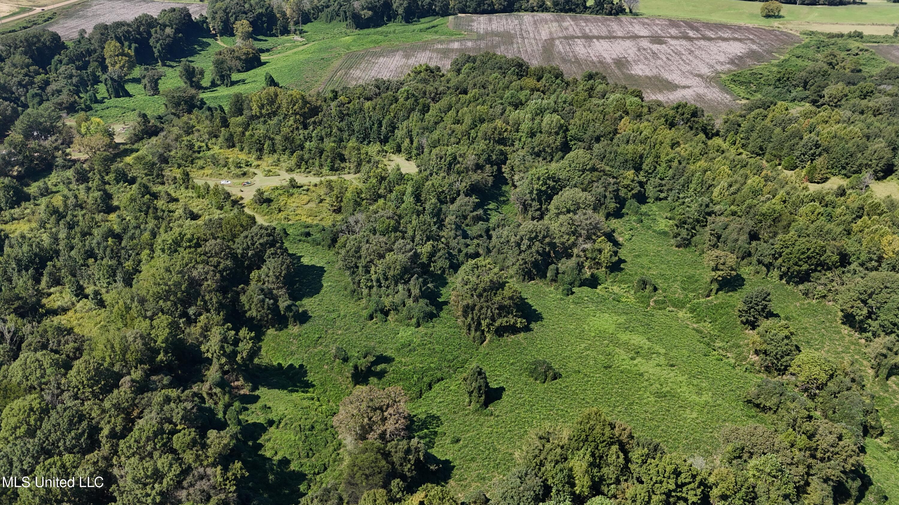 12 Ms Highway Lexington, MS 39095 - Photo 19 of 56 DJI_20240921113427_0621_D