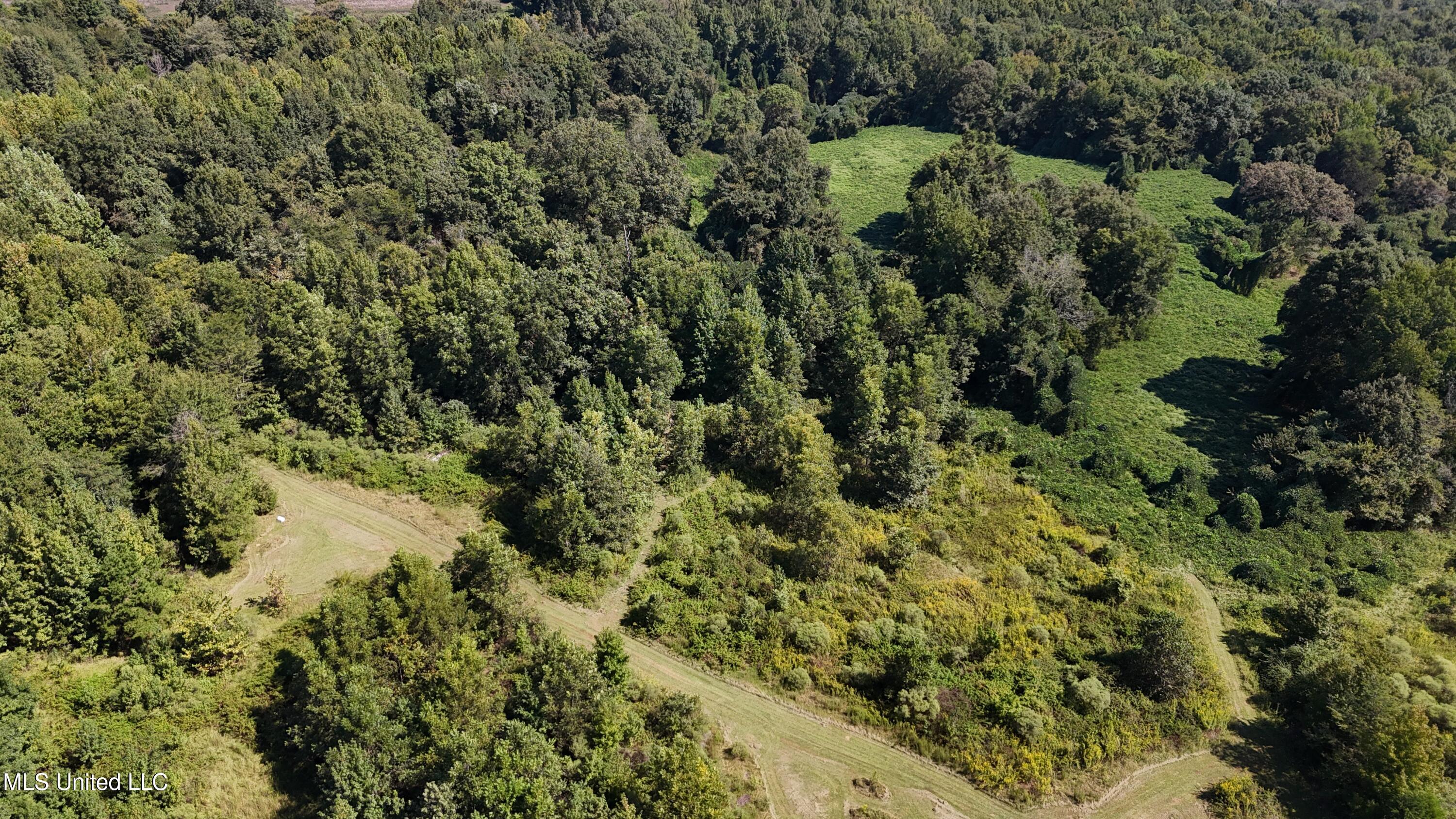 12 Ms Highway Lexington, MS 39095 - Photo 2 of 56 DJI_20240921113107_0604_D