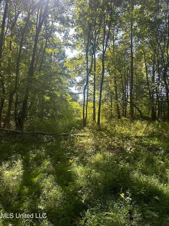 $108,000 | 12 Ms Highway, Lexington, MS 39095