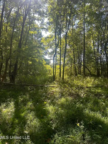 $108,000 | 12 Ms Highway, Lexington, MS 39095