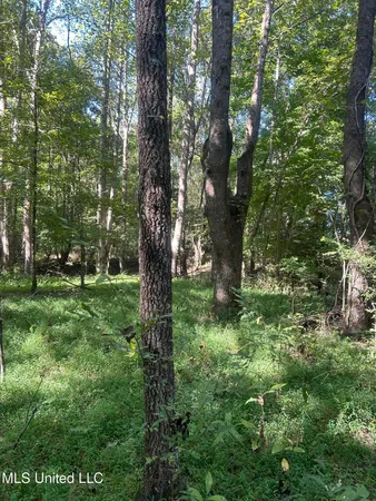 $108,000 | 12 Ms Highway, Lexington, MS 39095