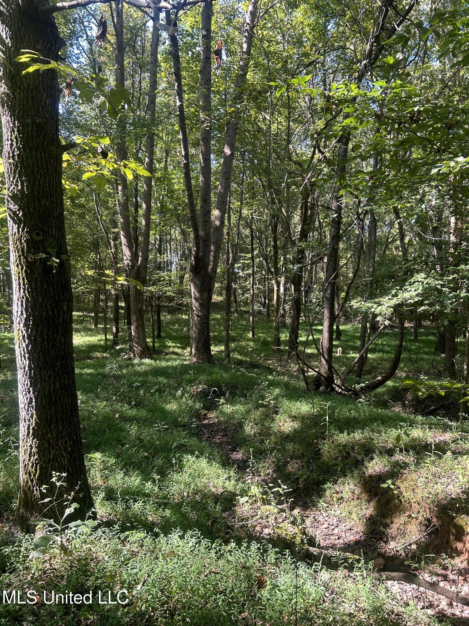 12 Ms Highway Lexington, MS 39095 - Photo 27 of 56 IMG_0315