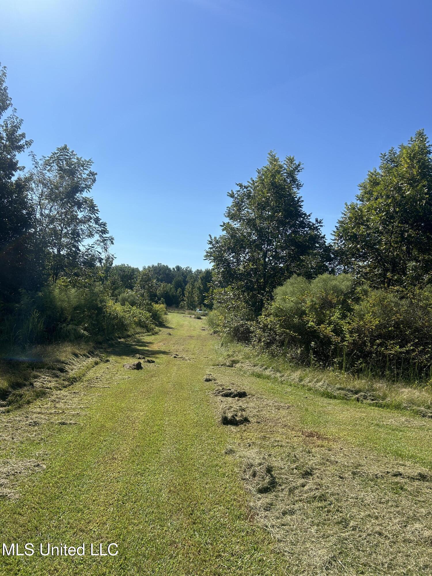 12 Ms Highway Lexington, MS 39095 - Photo 29 of 56 IMG_0317