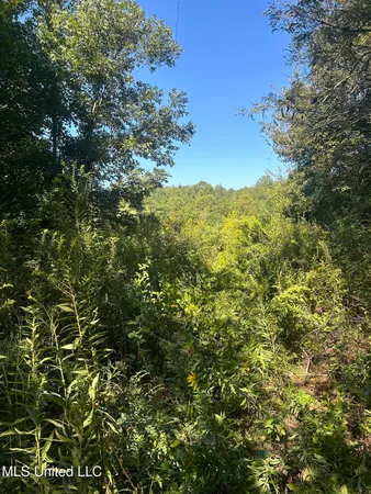 $108,000 | 12 Ms Highway, Lexington, MS 39095