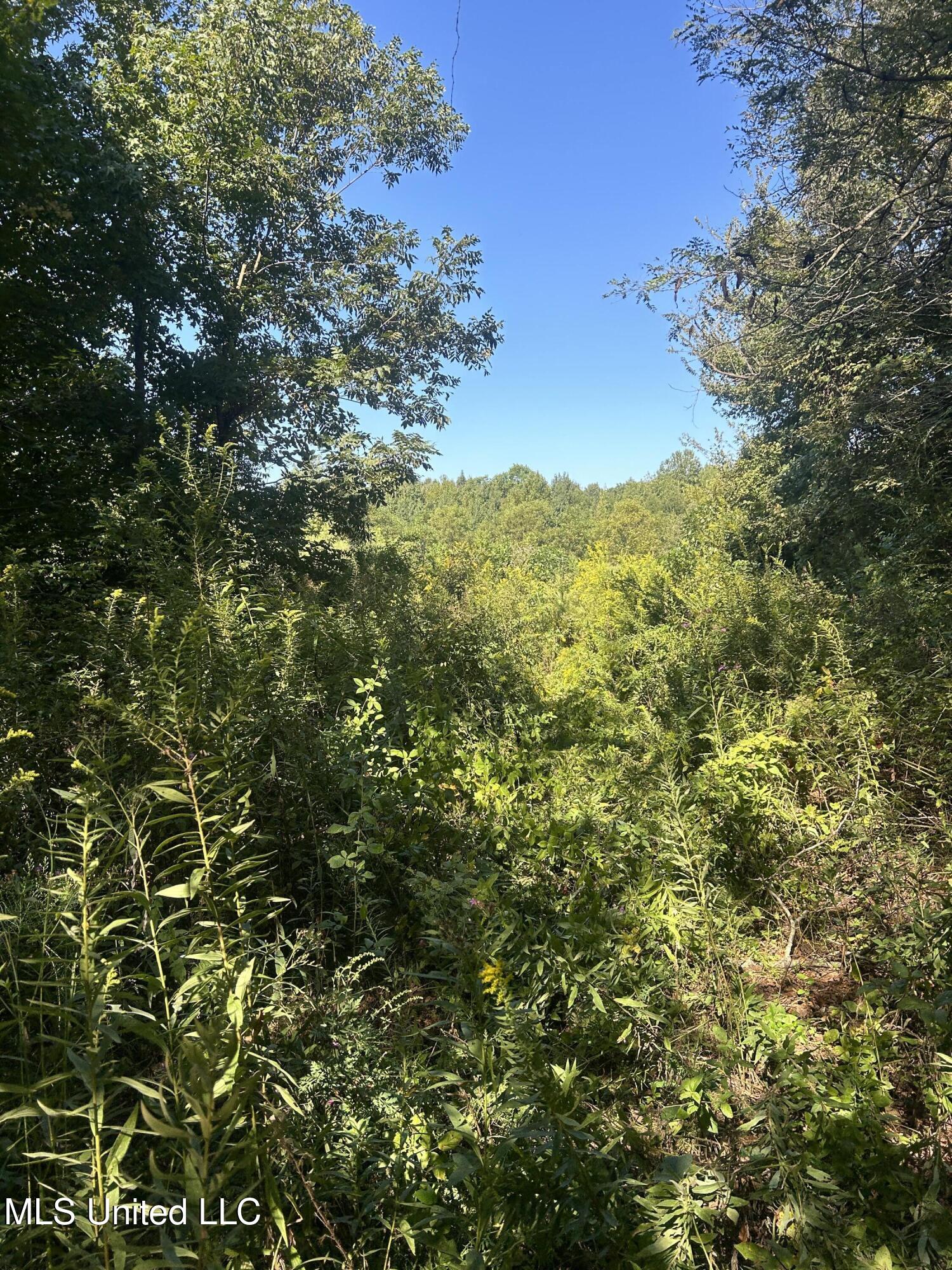 12 Ms Highway Lexington, MS 39095 - Photo 32 of 56 IMG_0320