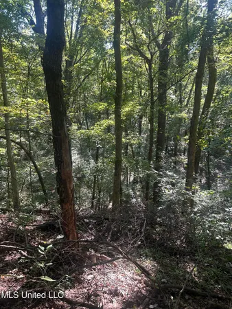 $108,000 | 12 Ms Highway, Lexington, MS 39095
