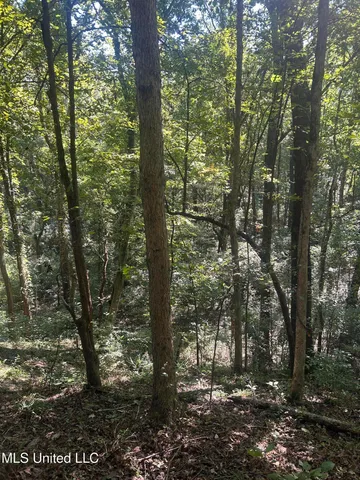 $108,000 | 12 Ms Highway, Lexington, MS 39095