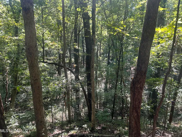 $108,000 | 12 Ms Highway, Lexington, MS 39095