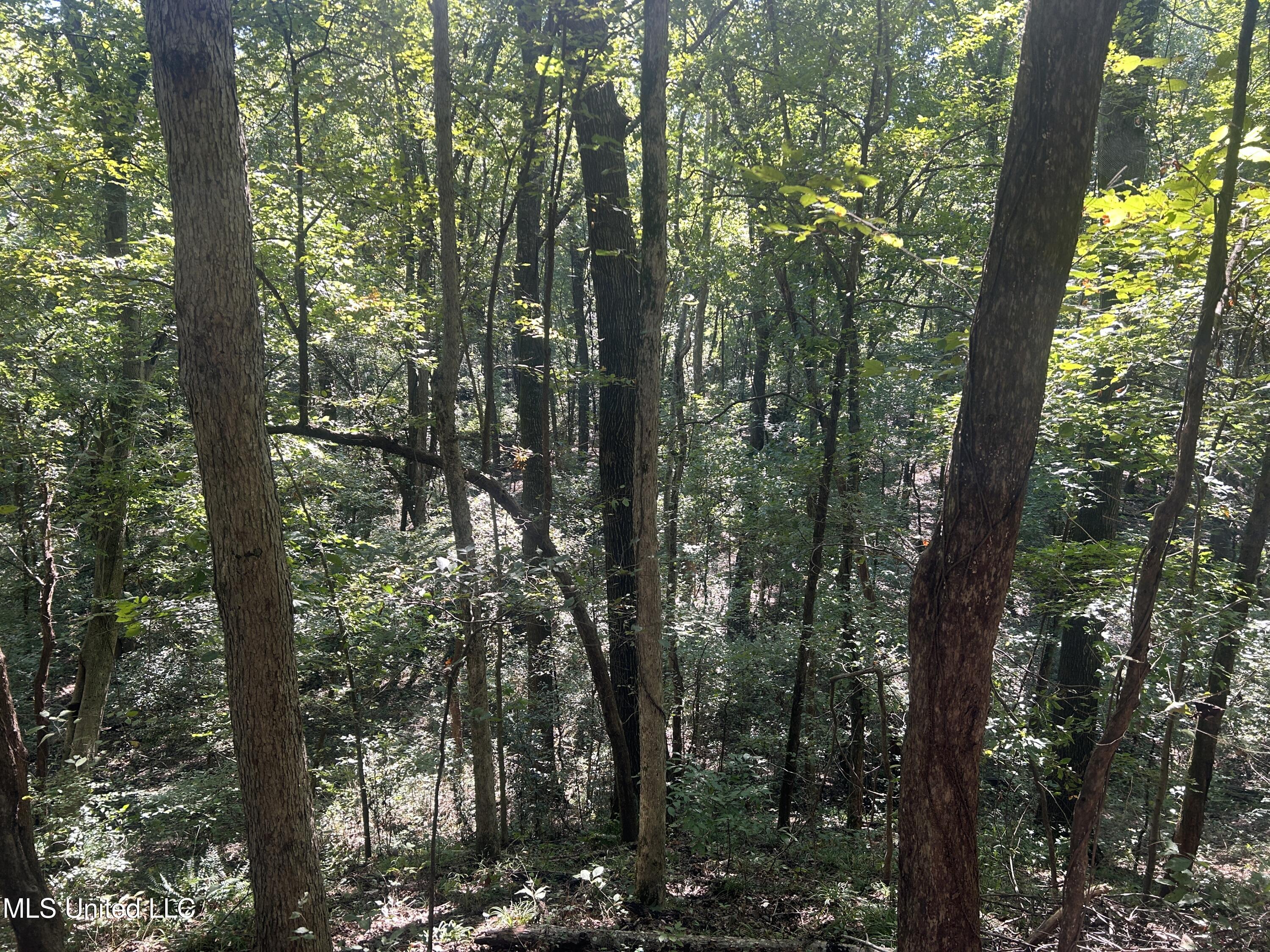 12 Ms Highway Lexington, MS 39095 - Photo 35 of 56 IMG_0323