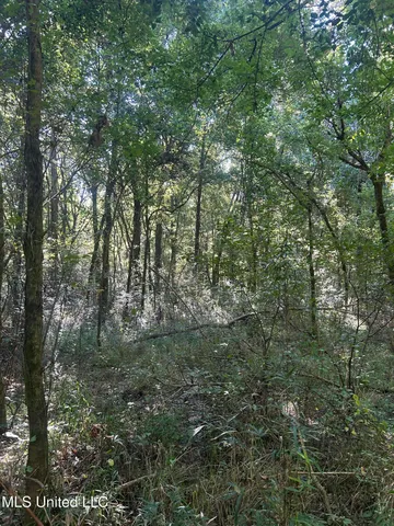 $108,000 | 12 Ms Highway, Lexington, MS 39095