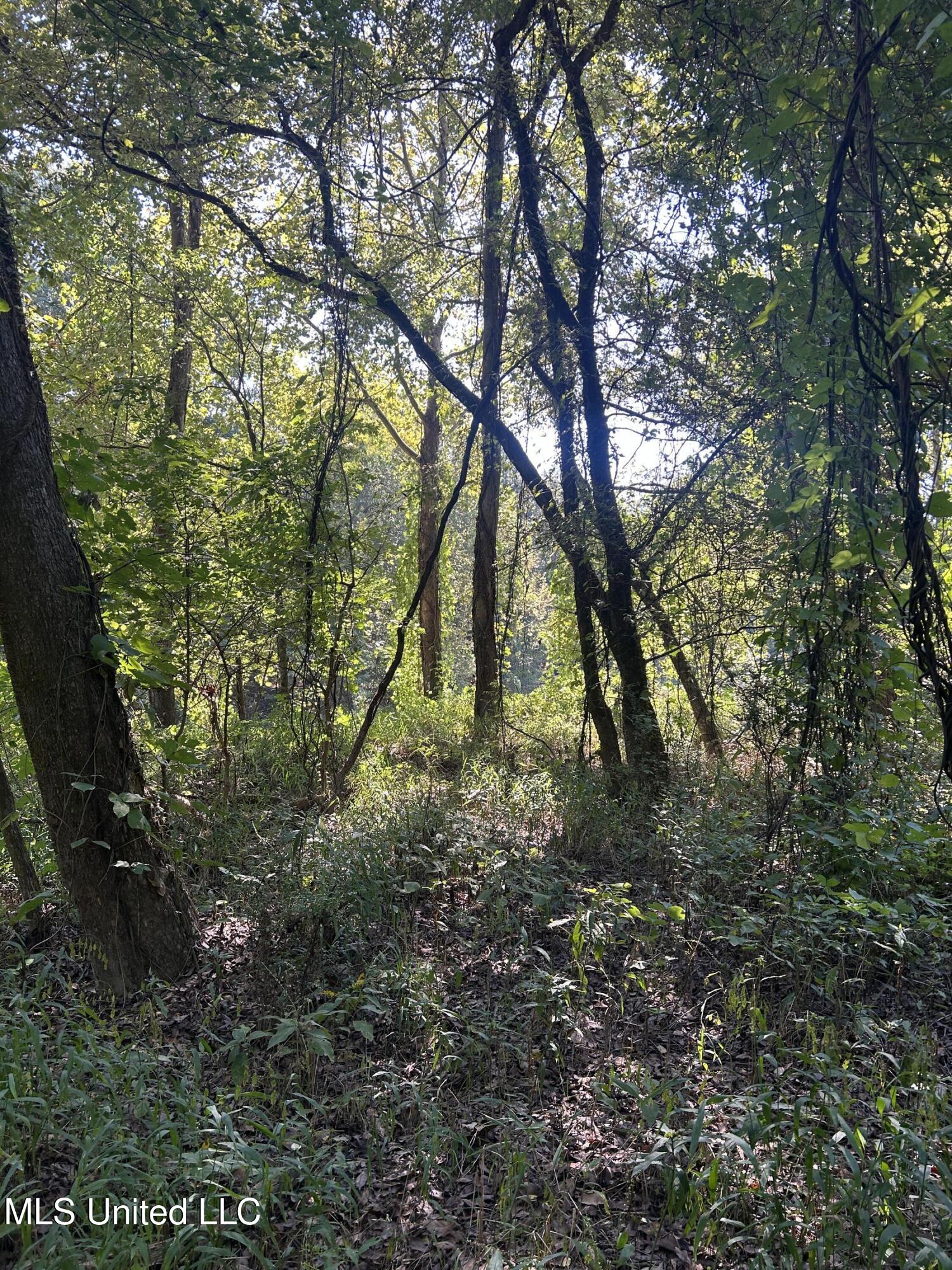 12 Ms Highway Lexington, MS 39095 - Photo 38 of 56 IMG_0328