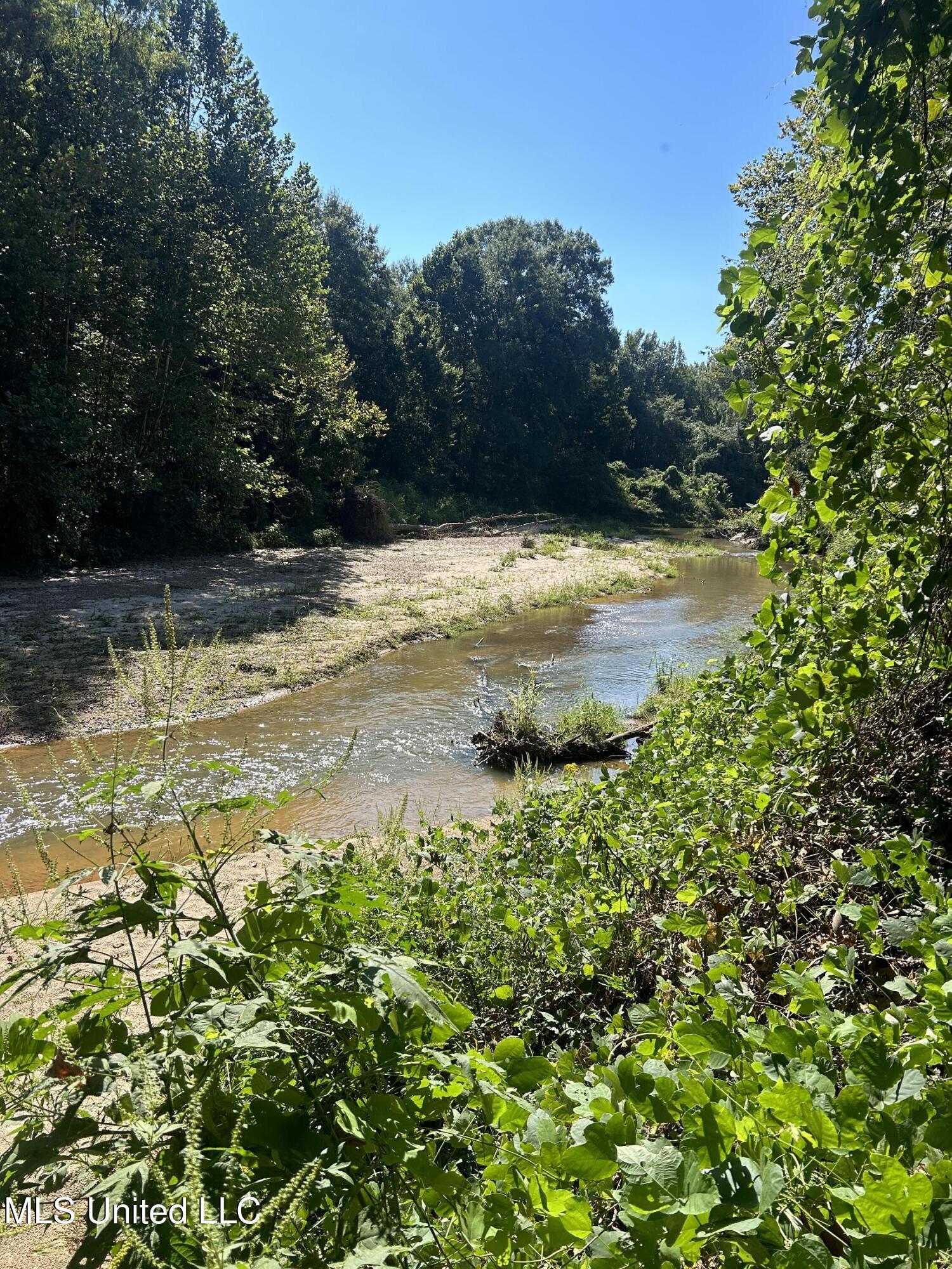 12 Ms Highway Lexington, MS 39095 - Photo 40 of 56 IMG_0330