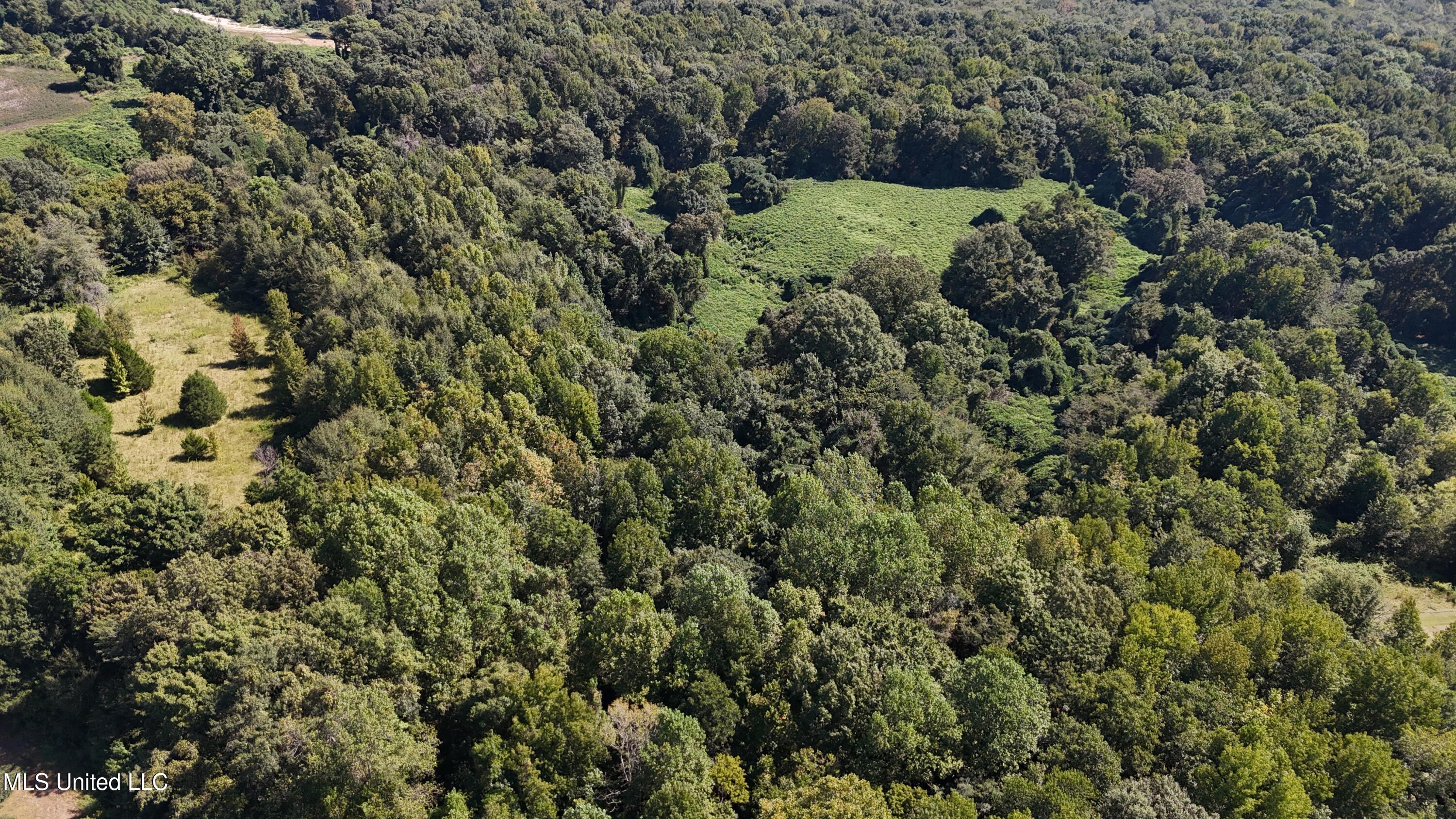 12 Ms Highway Lexington, MS 39095 - Photo 4 of 56 DJI_20240921113141_0606_D