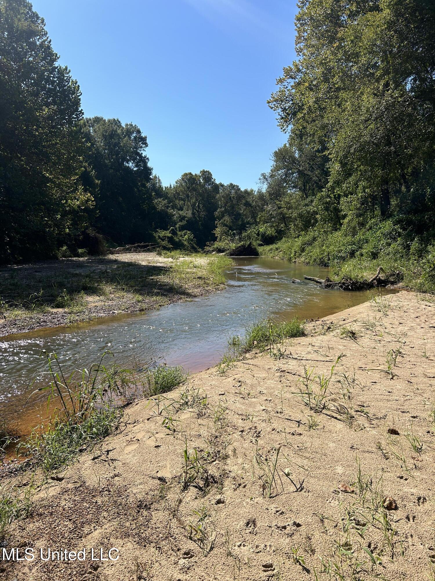 12 Ms Highway Lexington, MS 39095 - Photo 41 of 56 IMG_0331