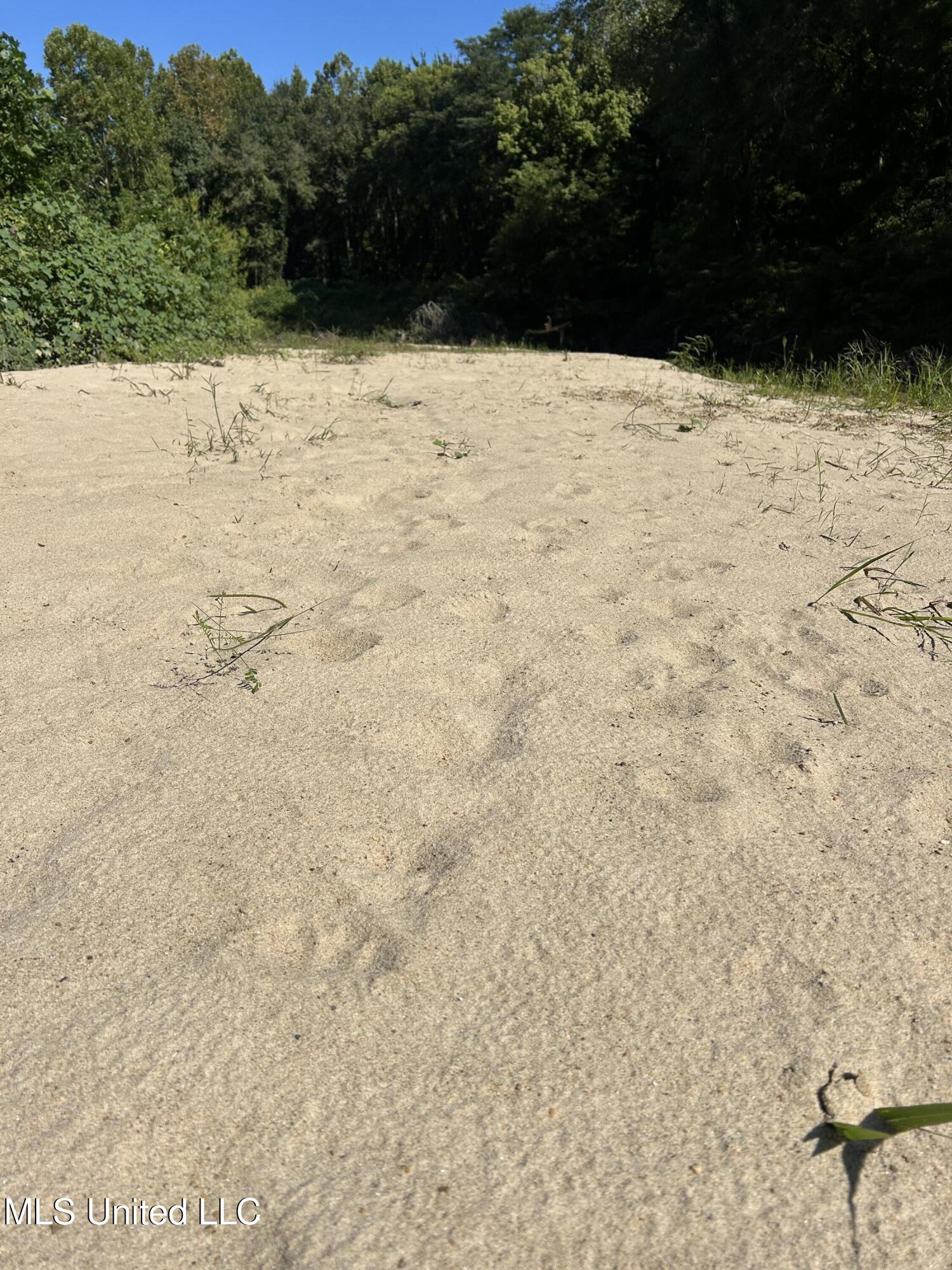 12 Ms Highway Lexington, MS 39095 - Photo 44 of 56 IMG_0334