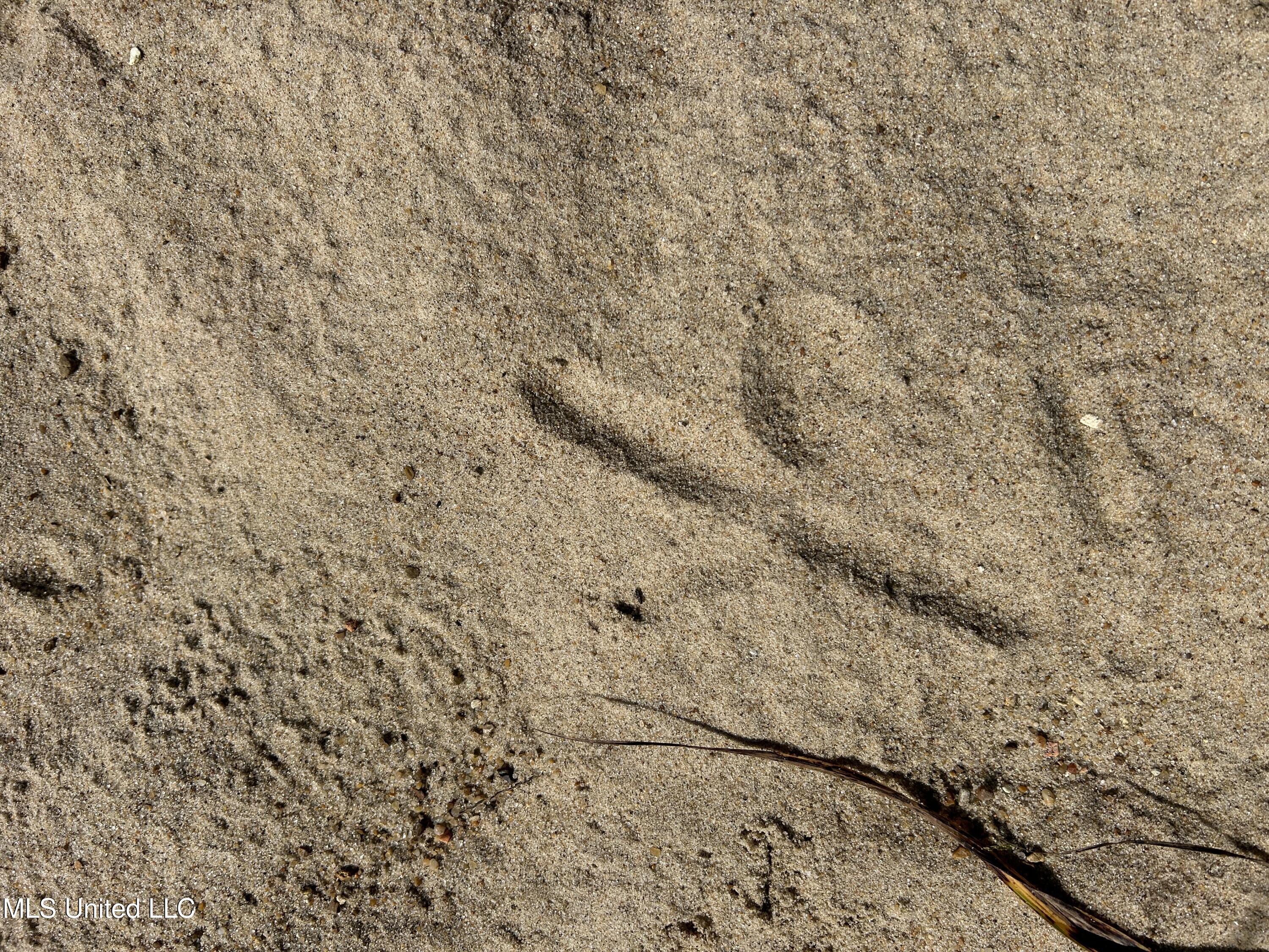 12 Ms Highway Lexington, MS 39095 - Photo 46 of 56 IMG_0336