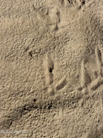 $108,000 | 12 Ms Highway, Lexington, MS 39095