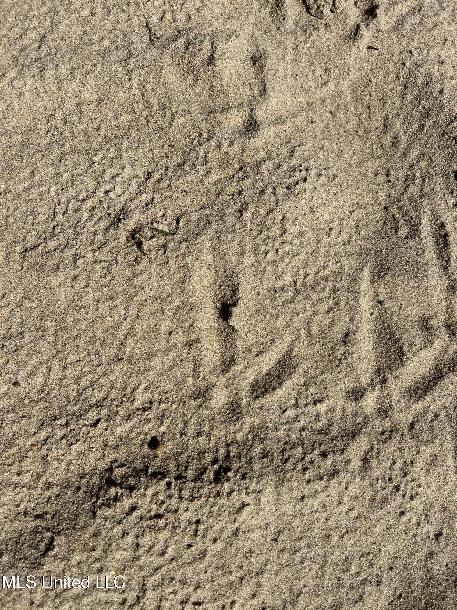 12 Ms Highway Lexington, MS 39095 - Photo 47 of 56 IMG_0337