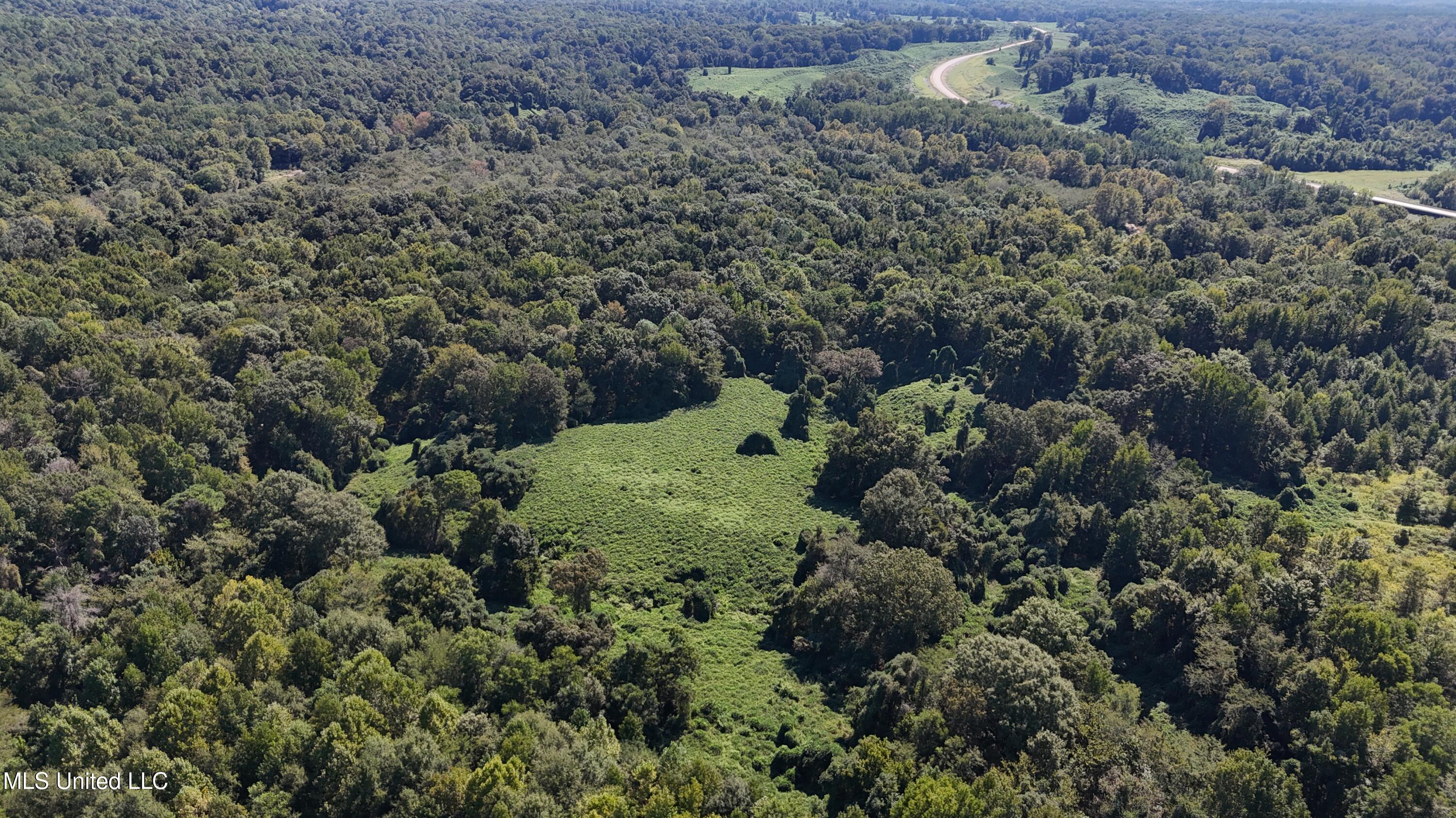 12 Ms Highway Lexington, MS 39095 - Photo 5 of 56 DJI_20240921113155_0607_D