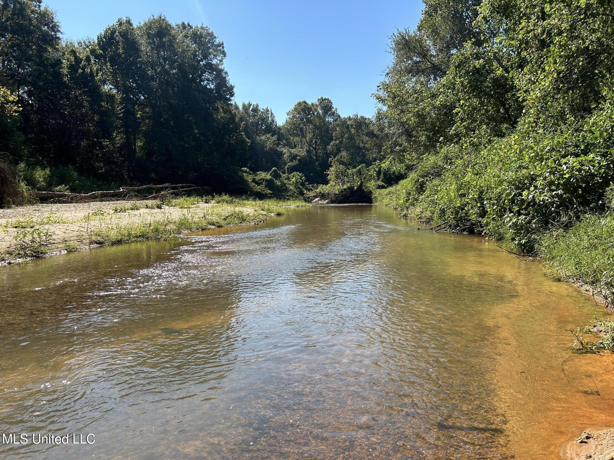 12 Ms Highway Lexington, MS 39095 - Photo 51 of 56 IMG_0343