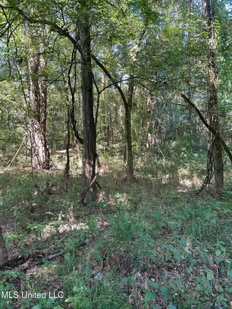 $108,000 | 12 Ms Highway, Lexington, MS 39095