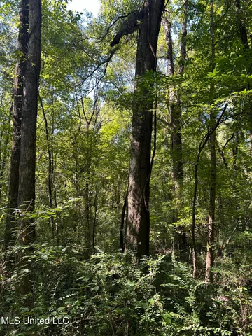 $108,000 | 12 Ms Highway, Lexington, MS 39095