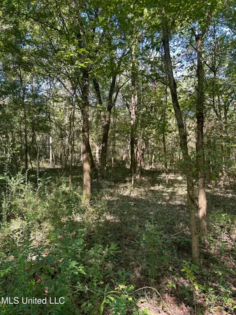 $108,000 | 12 Ms Highway, Lexington, MS 39095