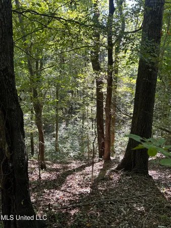 $108,000 | 12 Ms Highway, Lexington, MS 39095