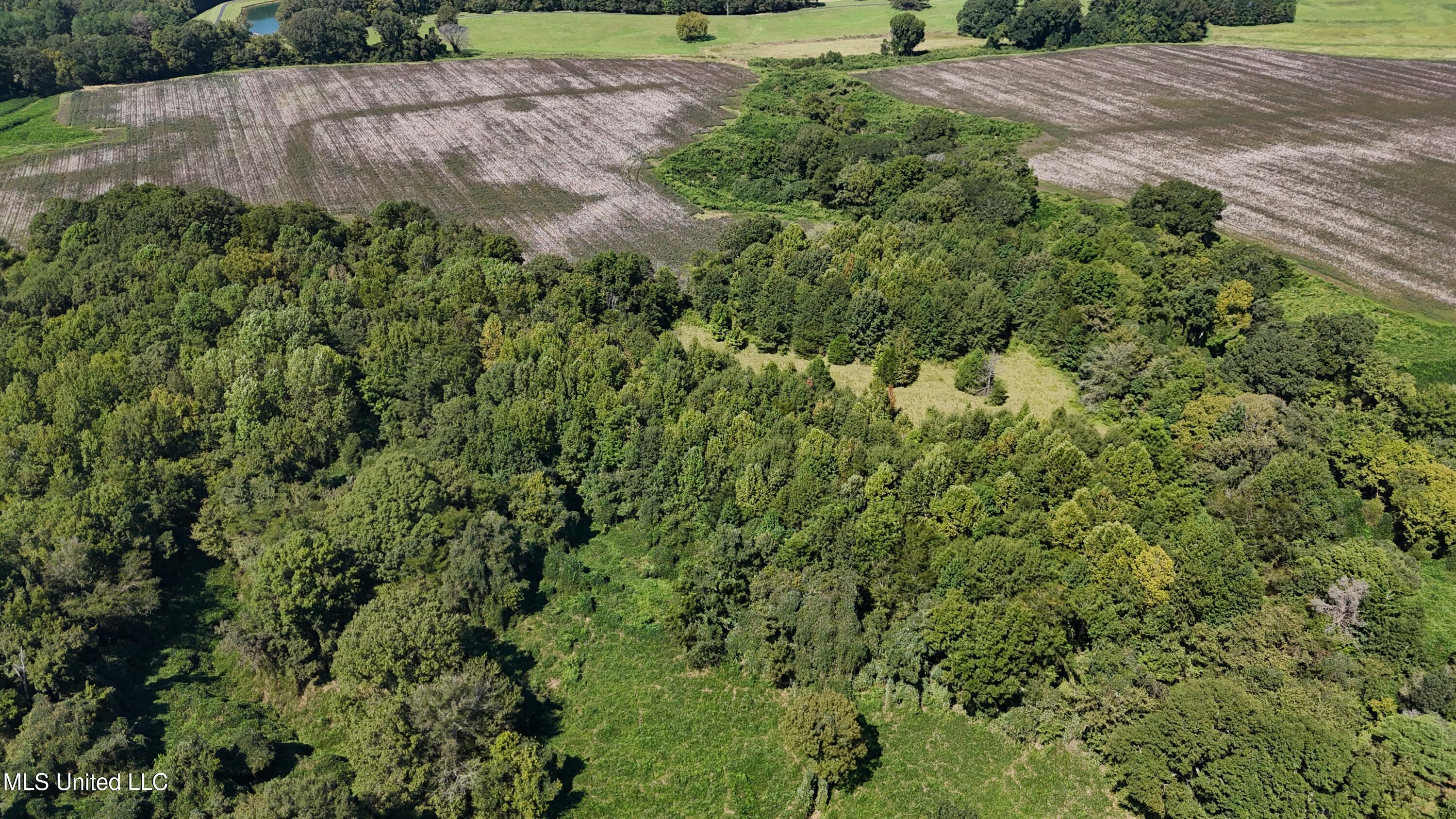 12 Ms Highway Lexington, MS 39095 - Photo 8 of 56 DJI_20240921113221_0610_D