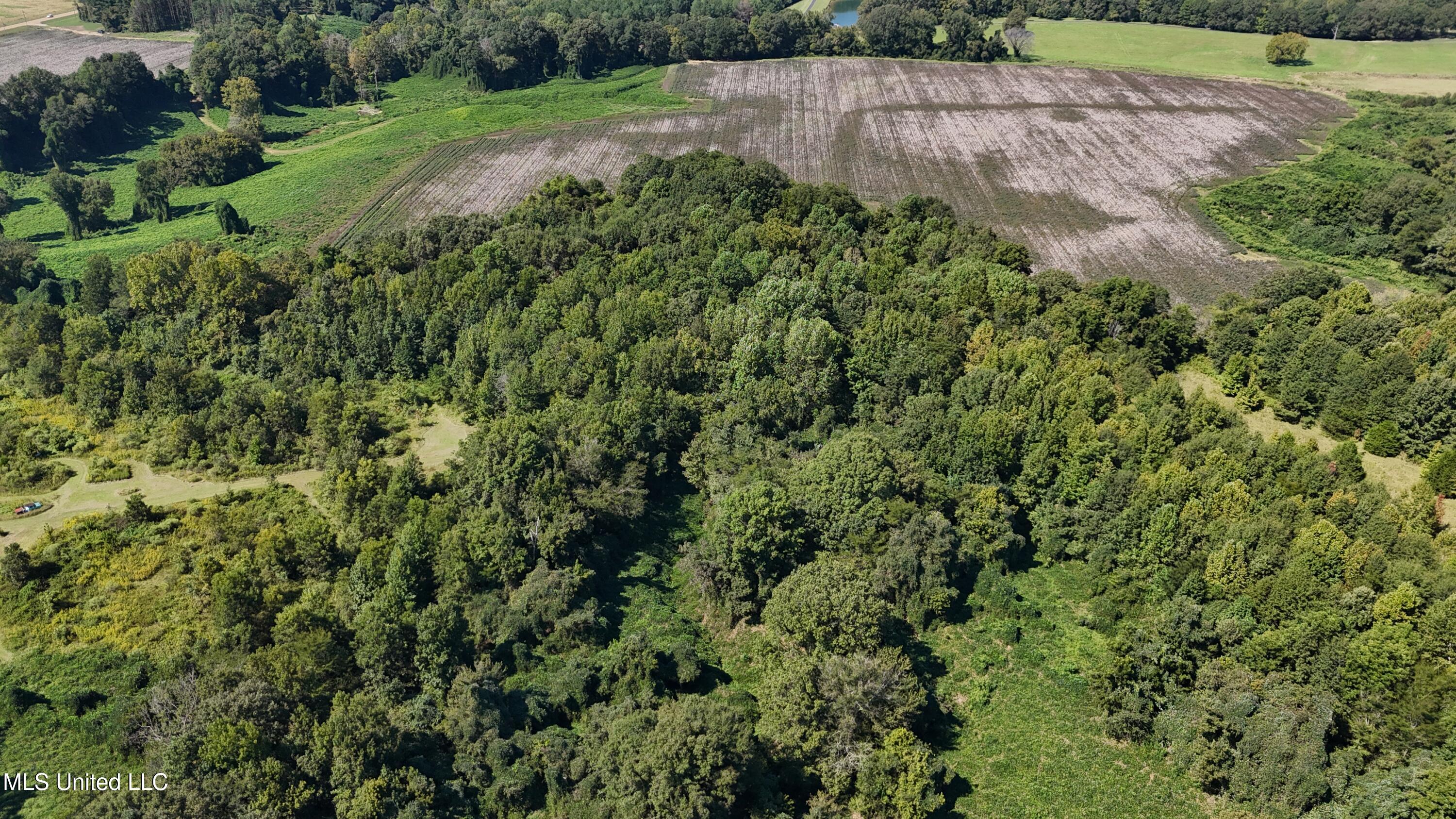 12 Ms Highway Lexington, MS 39095 - Photo 9 of 56 DJI_20240921113223_0611_D