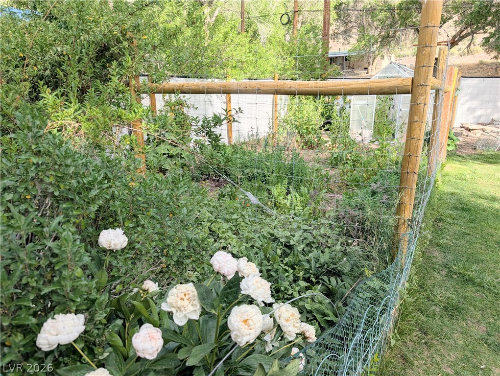 102 Rowan Drive Caliente, NV 89008 - Photo 18 of 28 An established garden plot with lush greenery, secured by robust fencing.