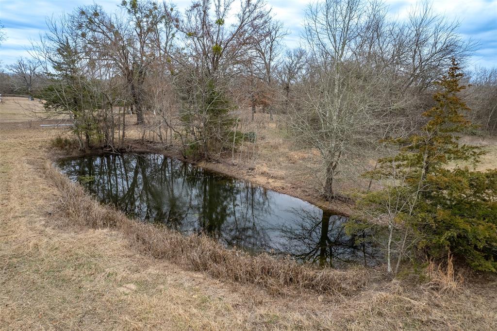 139 Northwest County Road, Unit 1061 Talco, TX 75487 - Photo 5 of 39 a view of a yard with plants and trees