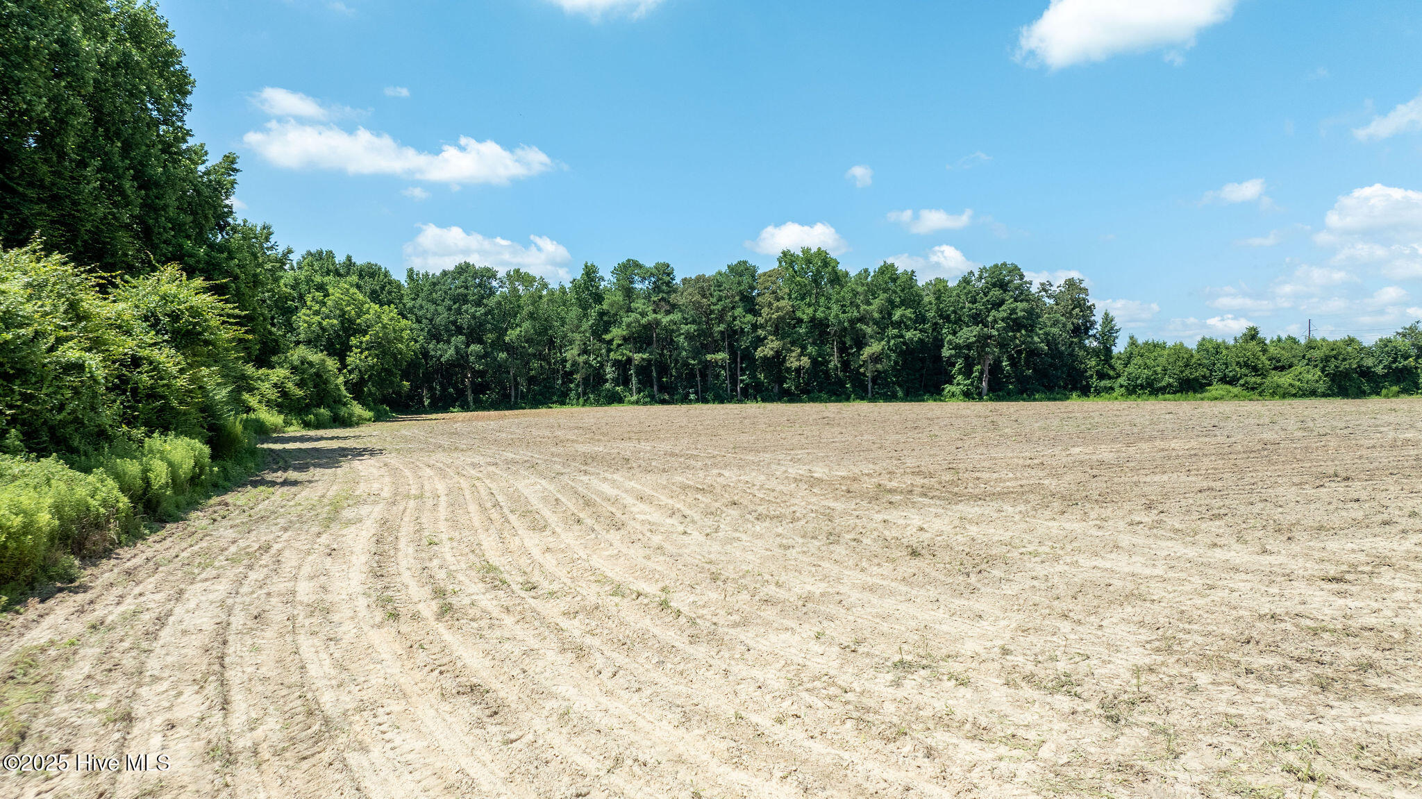0 Oberry Road Dudley, NC 28333 - Photo 11 of 38 0OberryRd-DudleyNC-11
