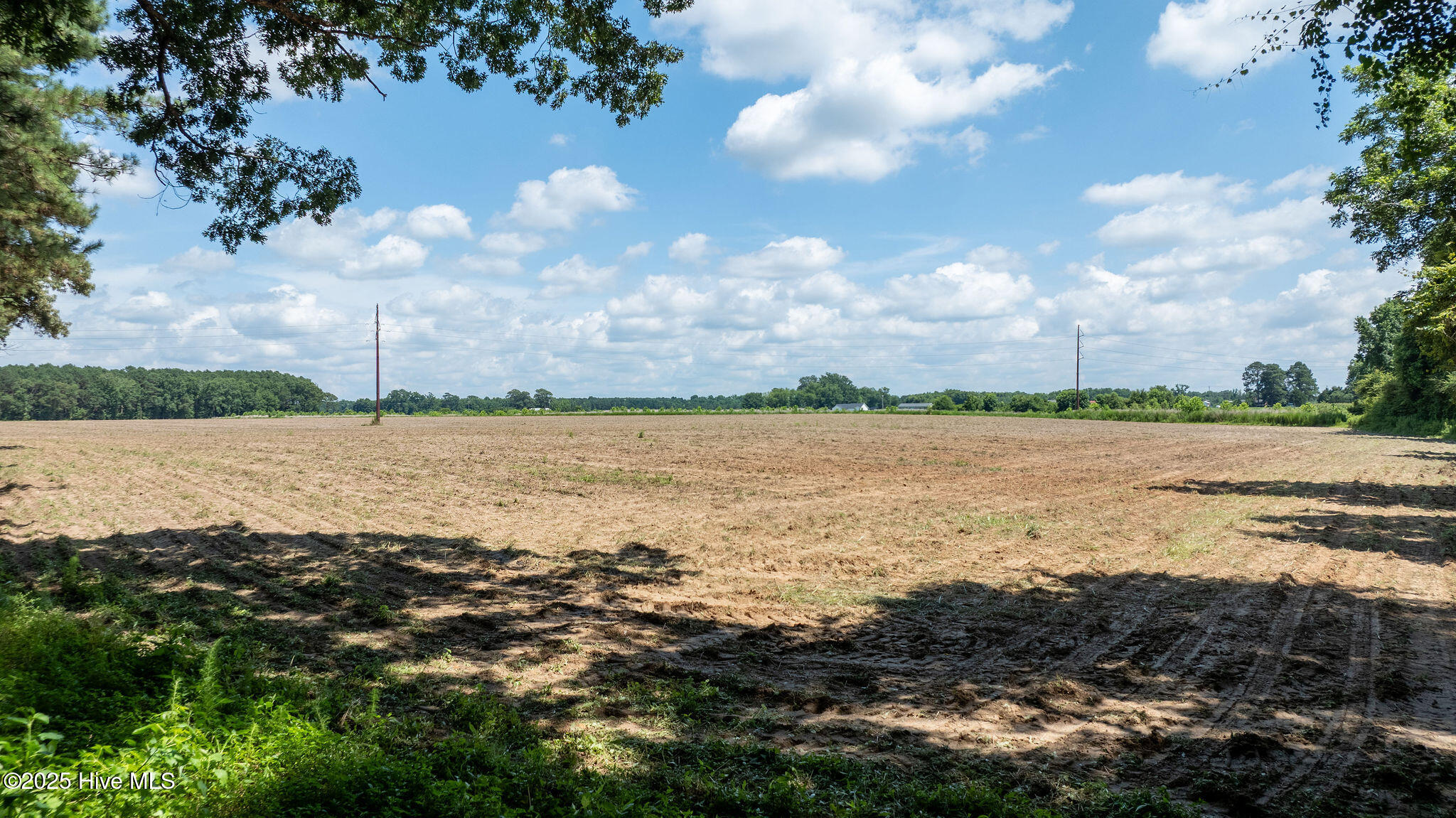 0 Oberry Road Dudley, NC 28333 - Photo 13 of 38 0OberryRd-DudleyNC-13