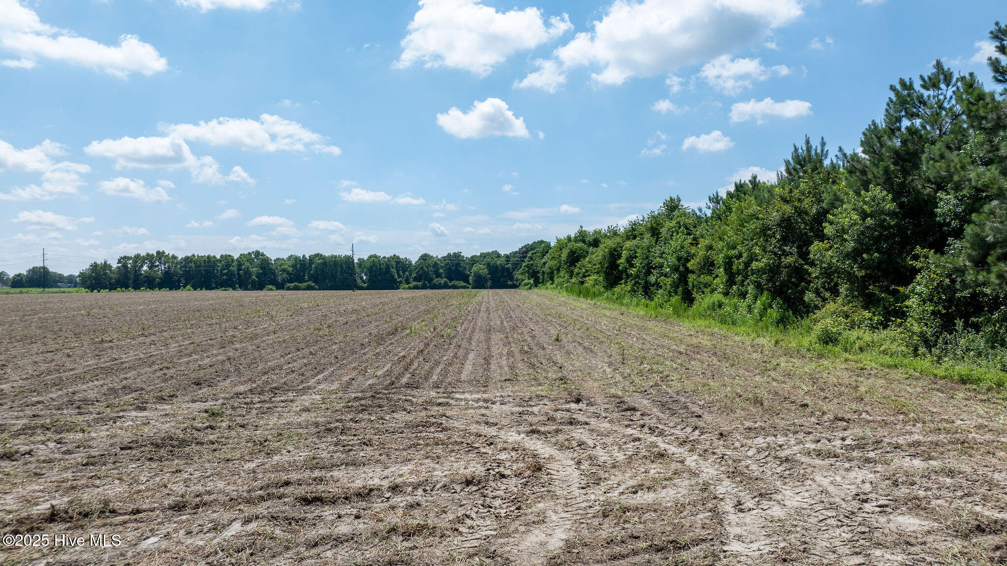 0 Oberry Road Dudley, NC 28333 - Photo 14 of 38 0OberryRd-DudleyNC-14