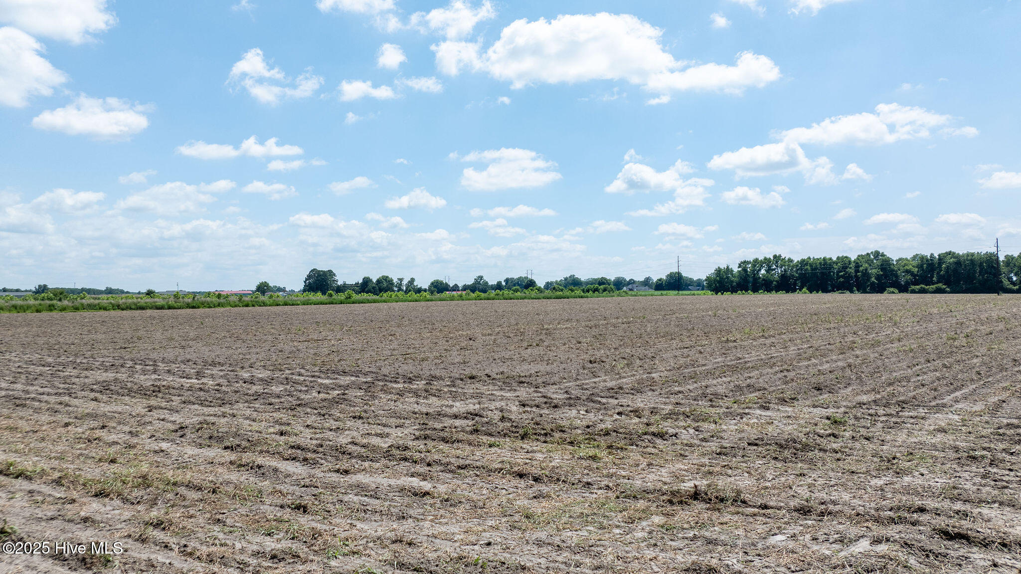 0 Oberry Road Dudley, NC 28333 - Photo 15 of 38 0OberryRd-DudleyNC-15