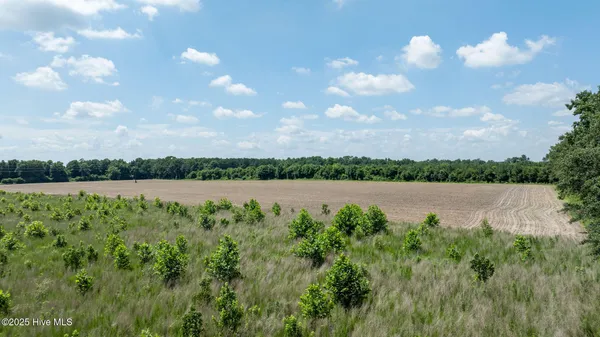 $379,900 | 0 Oberry Road, Dudley, NC 28333