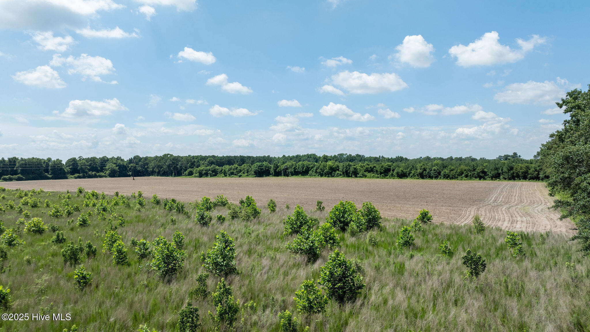 0 Oberry Road Dudley, NC 28333 - Photo 17 of 38 0OberryRd-DudleyNC-17