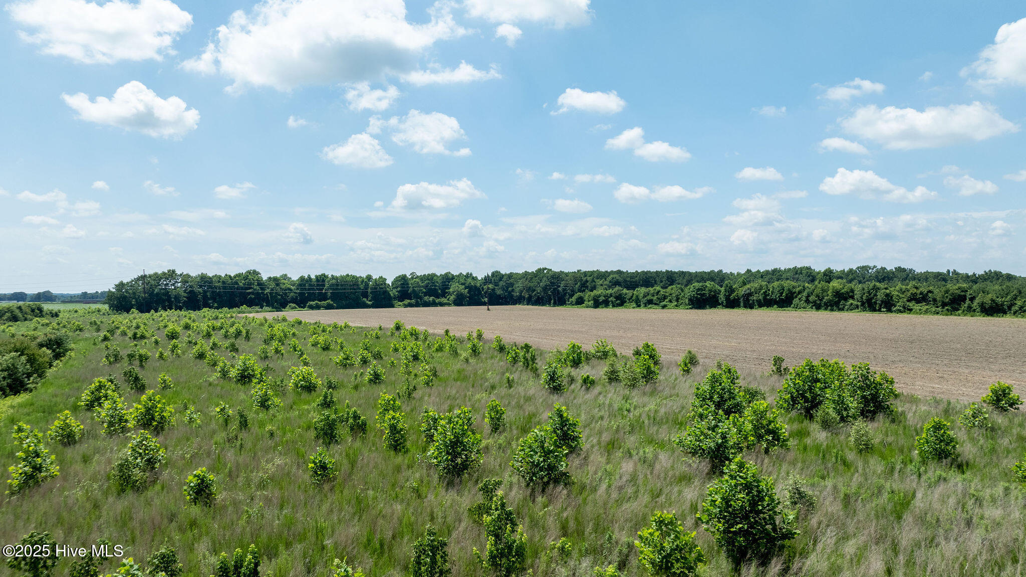 0 Oberry Road Dudley, NC 28333 - Photo 18 of 38 0OberryRd-DudleyNC-18